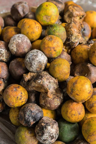 Çürük ve taze mandalina meyve ile kalıp.