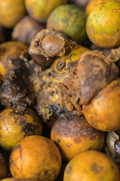 Çürük ve taze mandalina meyve ile kalıp.