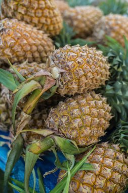 Ananas tatlı tropikal meyve sulu 
