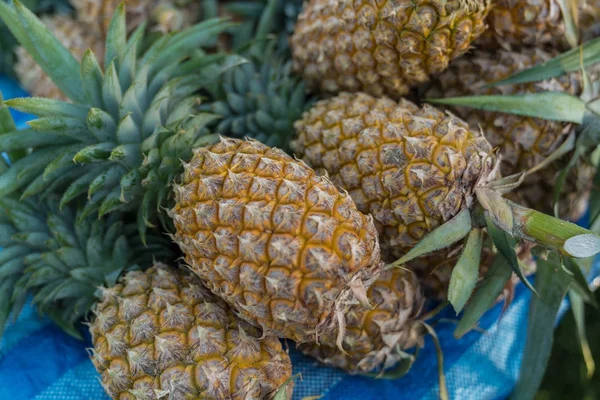 Ananas tatlı tropikal meyve sulu 