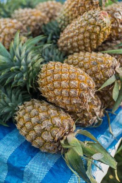 Ananas tatlı tropikal meyve sulu 