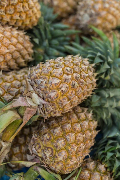 Ananas tatlı tropikal meyve sulu 