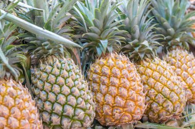 ananas, piyasa ahır yığını