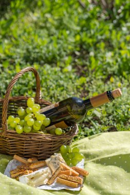 Piknik sepeti şarap, peynir ve üzüm ile