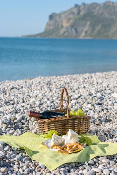 Panier pique-nique avec vin, fromage et raisins — Photo