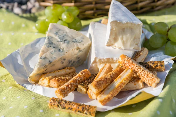 Picknickkorg med vin, ost och druvor — Stockfoto