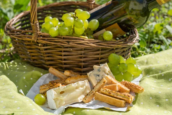 Panier pique-nique avec vin, fromage et raisins — Photo