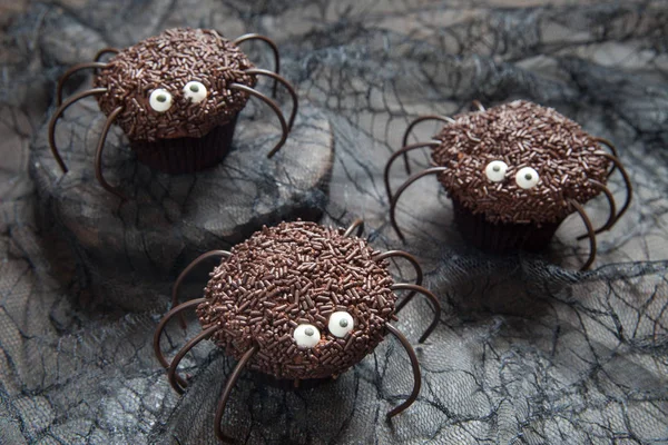 Çikolata örümcek cupcakes Cadılar Bayramı partisi için