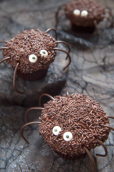 Chocolate spider cupcakes for Halloween party — Stock Photo, Image