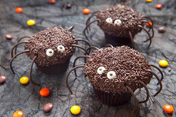 Pastelitos de araña de chocolate para la fiesta de Halloween — Foto de Stock