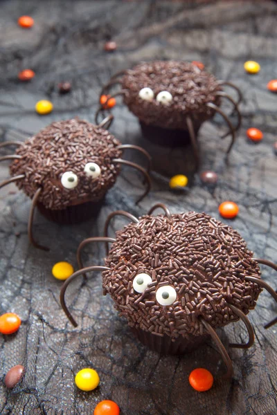 Pastelitos de araña de chocolate para la fiesta de Halloween — Foto de Stock