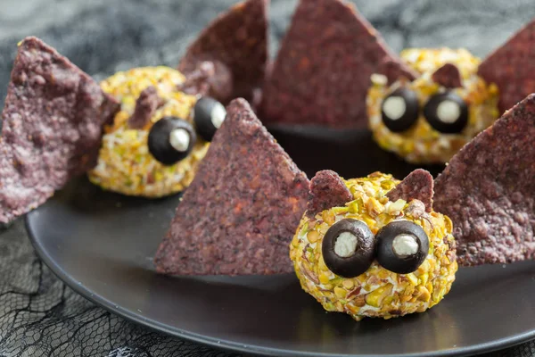 Bat cheese ball for Halloween party — Stock Photo, Image