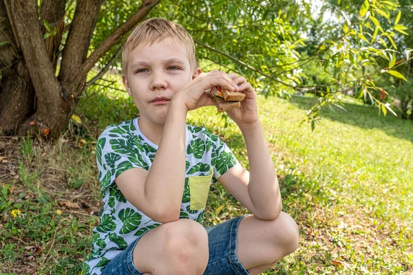 Pojke äter smörgås på picknick — Stockfoto