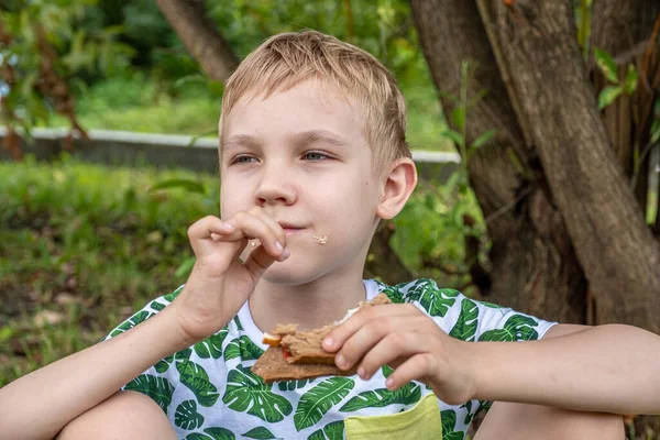 Jongen eet broodje bij picknick — Stockfoto
