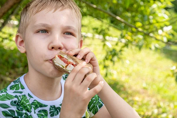 Jongen eet broodje bij picknick — Stockfoto