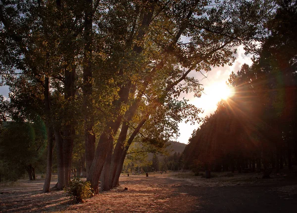 Golcuk Isparta Park Mezarlığı Günbatımı