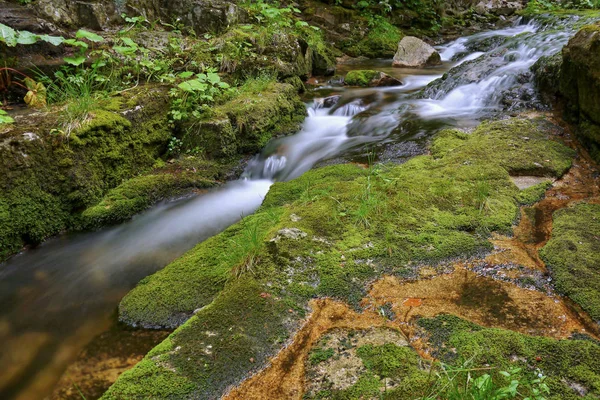 Waterfall and stream — Stock Photo, Image