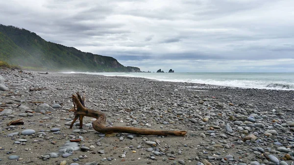 Surf marino en Nueva Zelanda — Foto de Stock