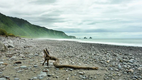 Surf de mare în Noua Zeelandă — Fotografie, imagine de stoc