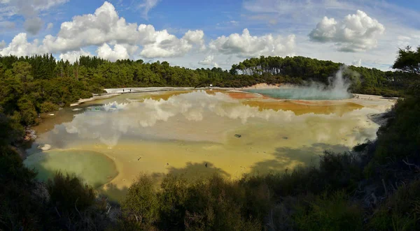 Champagne Piscine de Nouvelle-Zélande — Photo