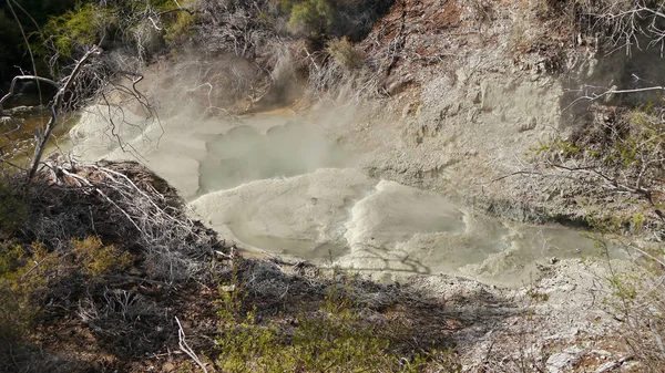 Cráter volcánico. Rotorua — Foto de Stock