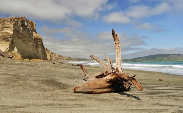 Tronco na costa oceânica — Fotografia de Stock