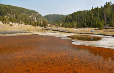 Yellowstone. Red Lake. Yellowstone Milli Parkı, Wyoming, Amerika Birleşik Devletleri.