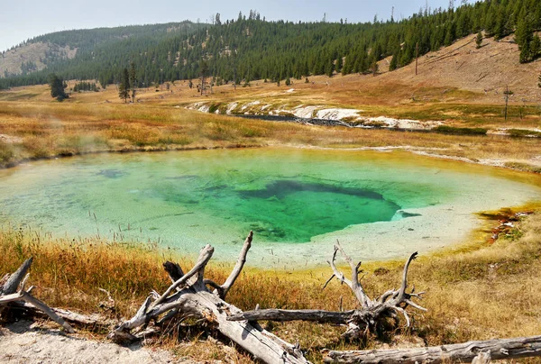 Hermosa Piscina Géiser Caliente Colorfu Parque Nacional Yellowstone Fenómeno Natural — Foto de Stock