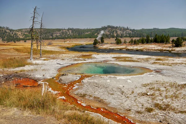 Pooll Hot Gejzer Piękny Colorfu Park Narodowy Yellowstone Zjawisko Naturalne — Zdjęcie stockowe
