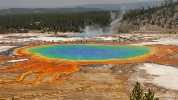 Gran Primavera Prismática Yellowstone Wyoming Estados Unidos — Foto de Stock
