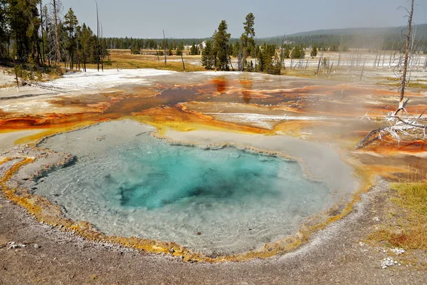 Belle Poupée Geyser Chaude Colorfu Parc National Yellowstone Phénomène Naturel — Photo