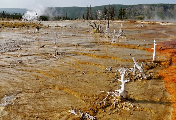 Estanque Termal Vapor Parque Nacional Yellowstone Fenómeno Natural Wyoming Estados — Foto de Stock