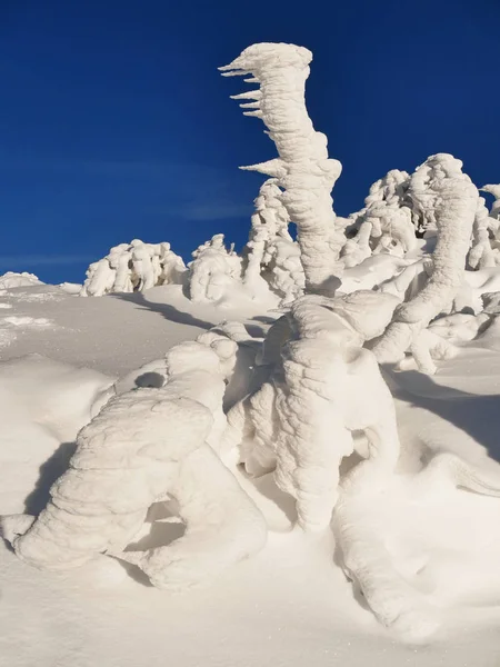 Alberi Ghiacciati Innevati Inverno Montagna Paesaggio Astratto — Foto Stock