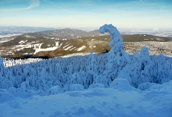 Sneeuwwitte Bevroren Bomen Winter Bergen Abstract Landschap — Stockfoto