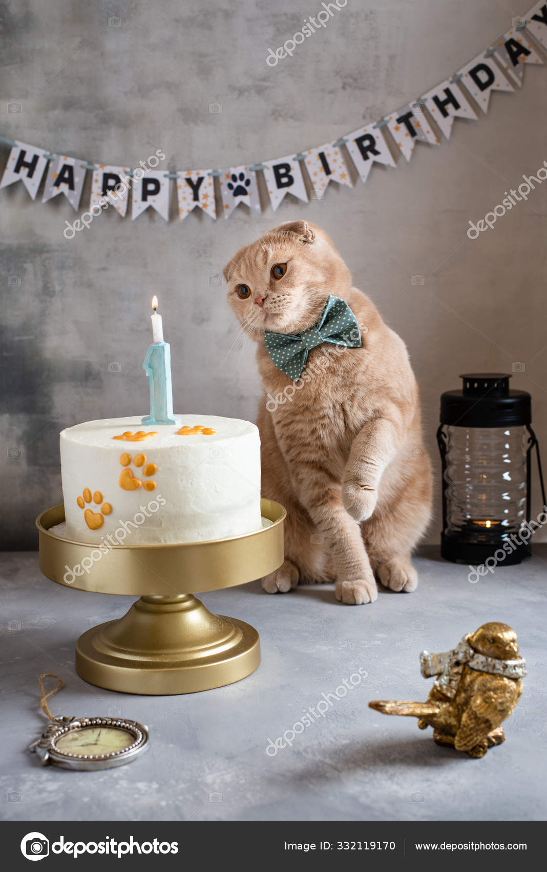 Making a wish. Funny cat with bow tie and birthday cake with ...