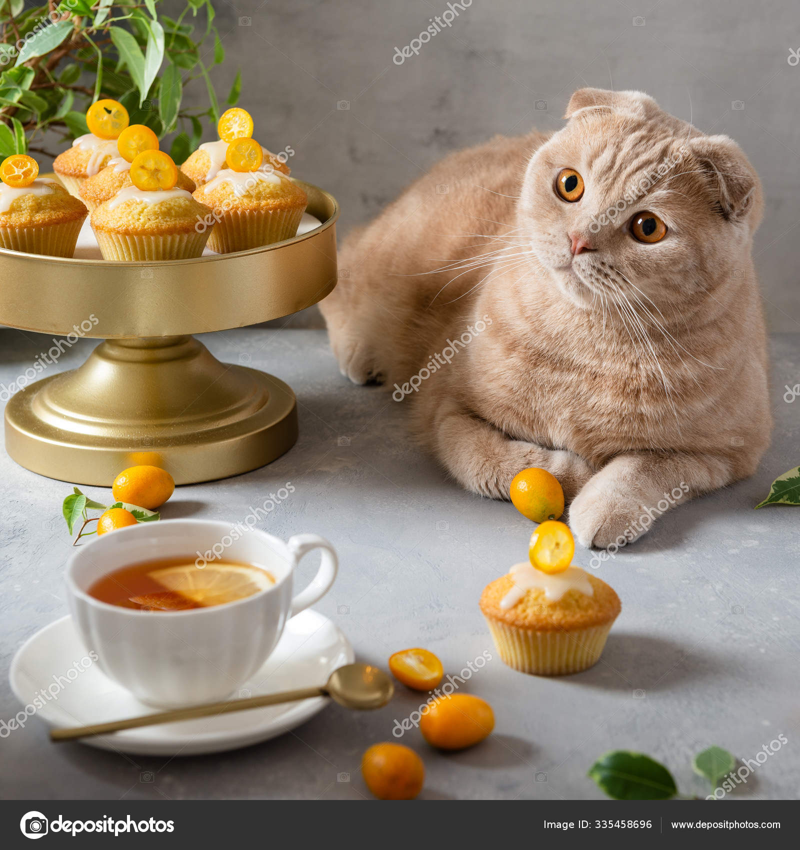 Tea Party With A Funny Cat Cup Of Black Tea And Lemon Cupcakes On Gray Background Bakery Patisserie Cafe Menu Poster Greeting Card Concept Stock Photo By C Dina160987 Gmail Com 335458696