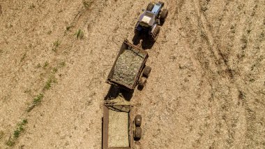 Brezilya 'da güneşli bir günde şeker kamışı hasadı. Hava görünümü.