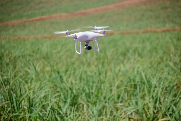 Drone Blanco Volando Sobre Campo Verde —  Fotos de Stock