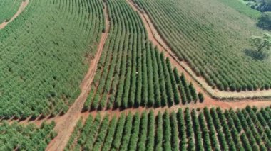 Tarım alanının havadan görünüşü