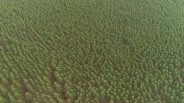 Tarım alanının havadan görünüşü