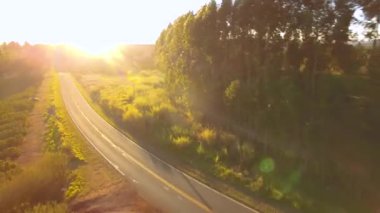 Tarım alanının havadan görünüşü