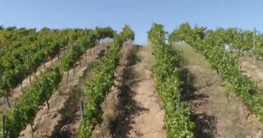 Alan ekiminin havadan görünüşü