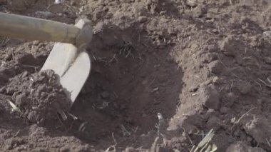 Sahada çapayla çalışan adamın yakın görüntüsü