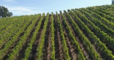 Alan ekiminin havadan görünüşü