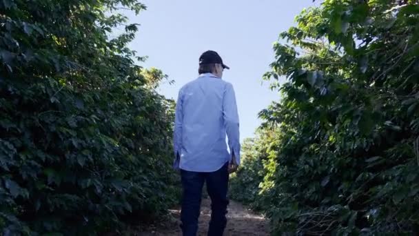 Dojrzały Mężczyzna Spaceruje Pobliżu Zielonych Krzewów Sprawdzając Rośliny — Wideo stockowe