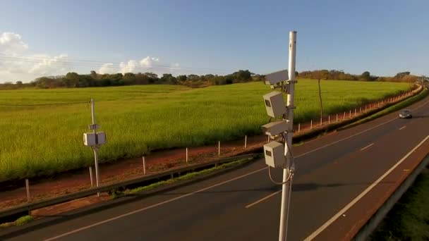 Tráfico Través Campo Verde Cultivado — Vídeo de stock