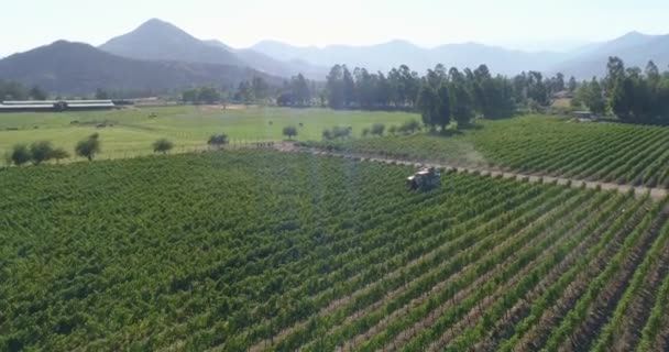 Vista Aérea Del Cultivo Campo — Vídeo de stock