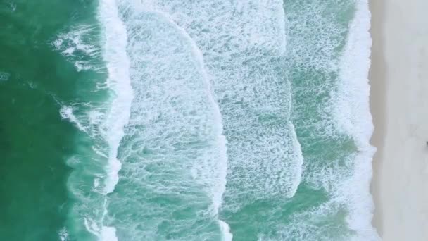 View Giant Waves Foaming Splashing Ocean Sunny Daytime — Stock Video