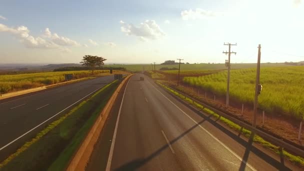Traffic Green Cultivated Field — Stock Video