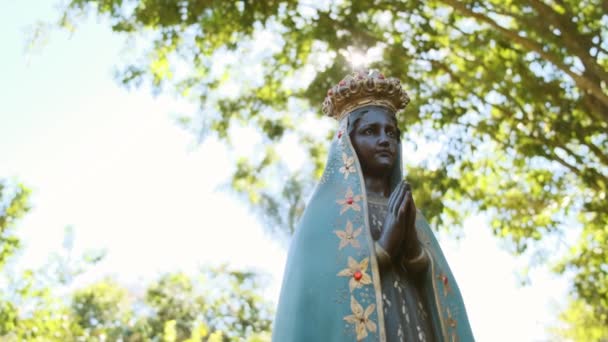 Estatua Virgen María Jardín Verde — Vídeo de stock